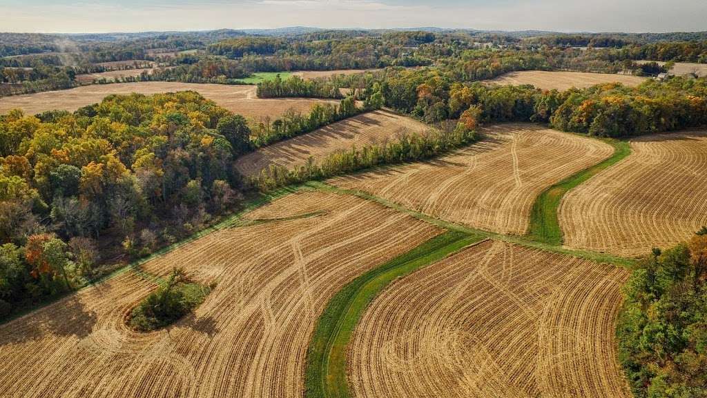 Natural Lands Bryn Coed Preserve | Flint Rd, Chester Springs, PA 19460 | Phone: (610) 353-5587