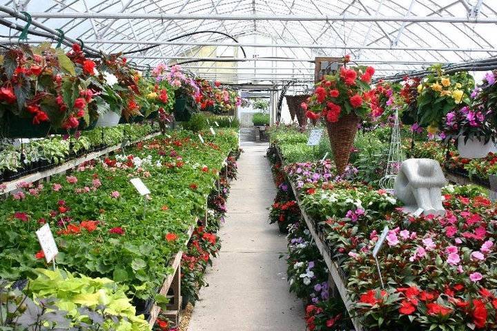 K&A Greenhouse | 7595 W Mineral Point Rd, Verona, WI 53593, USA | Phone: (608) 833-5244