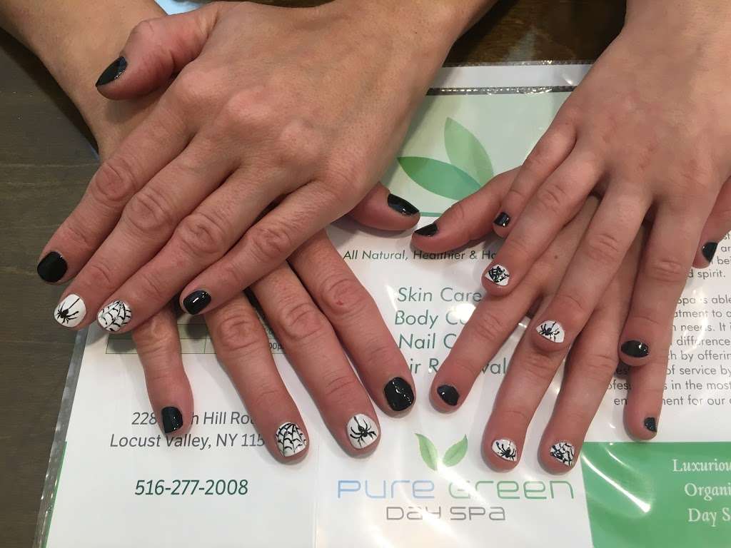 Pure Green Day Spa | 228 Birch Hill Rd, Locust Valley, NY 11560, USA | Phone: (516) 277-2008
