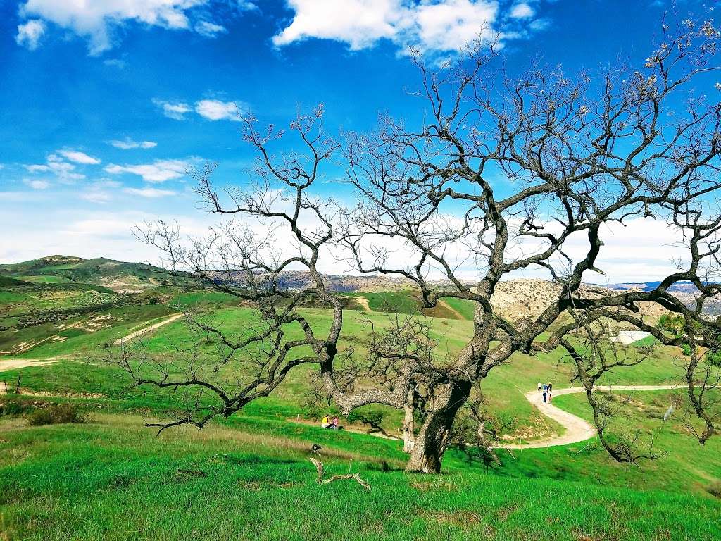 Upper Las Virgenes Canyon Open Space Preserve | Western end of, Victory Blvd, Woodland Hills, CA 91367 | Phone: (310) 589-3200