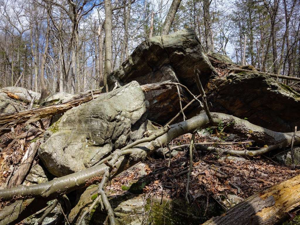 Arden Surebridge Trail (red markers) | Tuxedo, NY 10975, USA