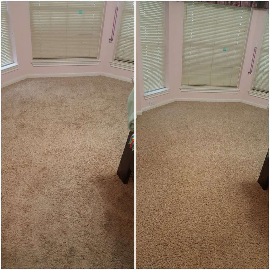 Acme Carpet Cleaning | 950 C.R. 941D, Alvin, TX 77511, USA | Phone: (281) 464-7900