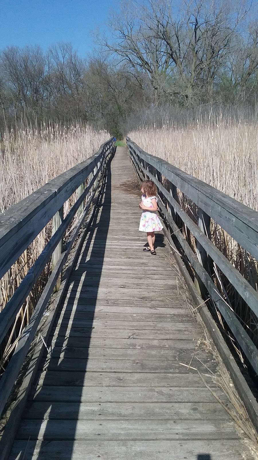 John Margis JR Wildlife Area | 7401 Fish Hatchery Rd, Burlington, WI 53105, USA