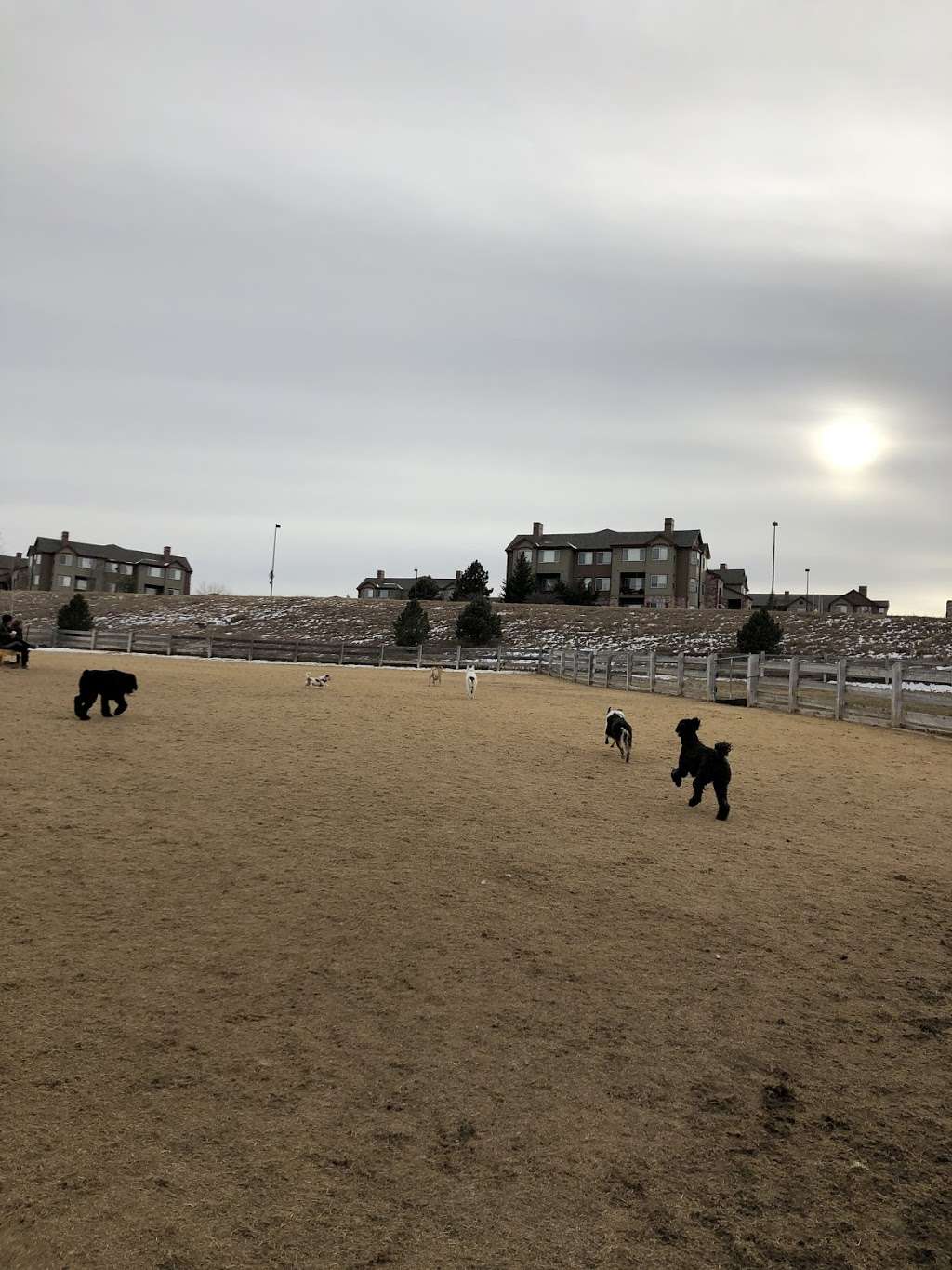 Douglas County Off-leash Area | 1100 Plum Creek Pkwy, Castle Rock, CO 80104, USA