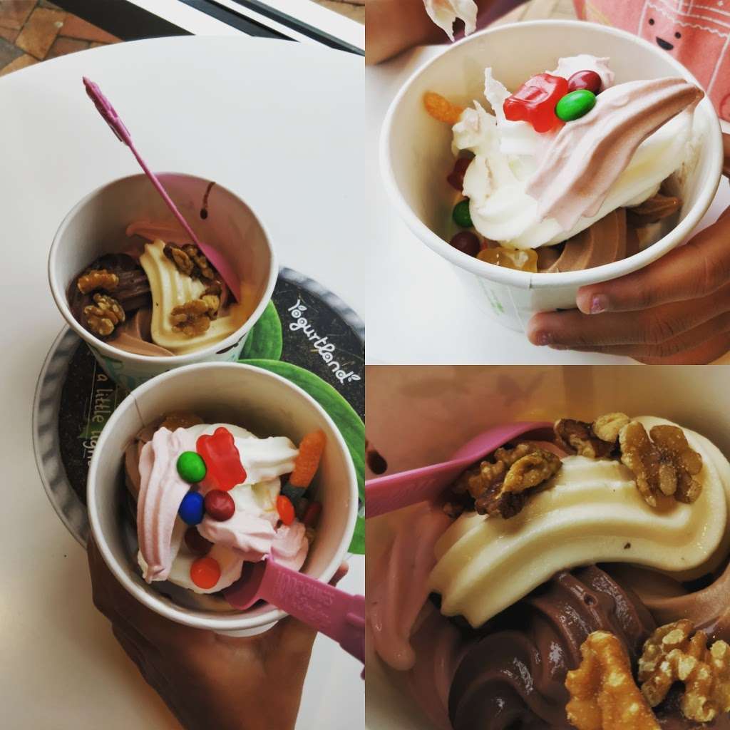 Yogurtland | 3056 State Route 10 West, Denville, NJ 07834 | Phone: (973) 366-5125