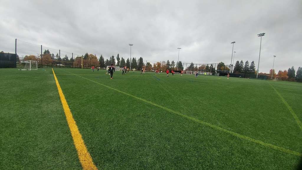 Garcia & Salado | Mountain View, CA 94043, USA