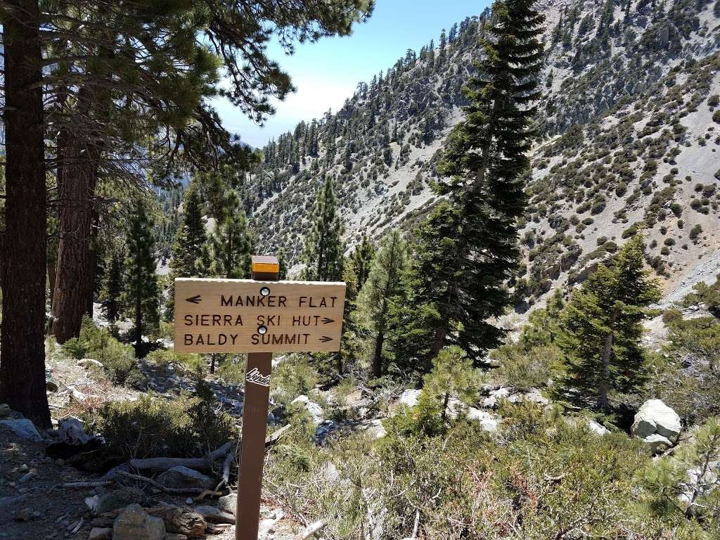 Mt Baldy Trailhead | 901-993 Falls Rd, Mt Baldy, CA 91759, USA