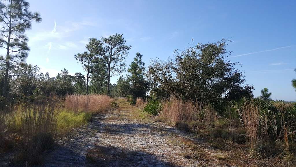 Wiregrass Prairie Preserve | 1751 Lopez Rd, Osteen, FL 32764