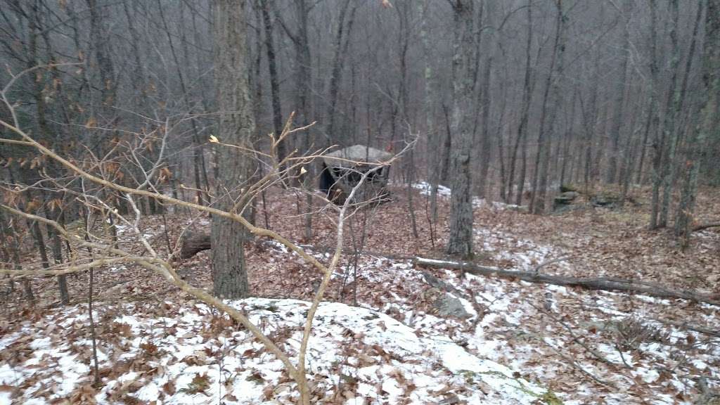 Michaels Deer Stand | Wyalusing, PA 18853