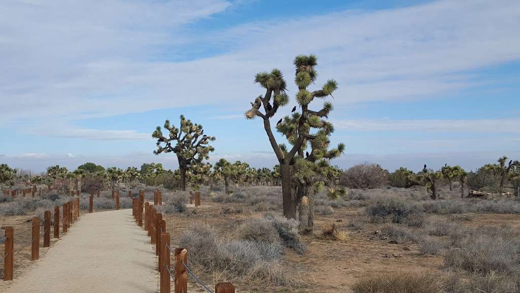 ELYZE CLIFFORD INTERPRETIVE CENTER | 43201 35th St W, Lancaster, CA 93536 | Phone: (661) 723-6000