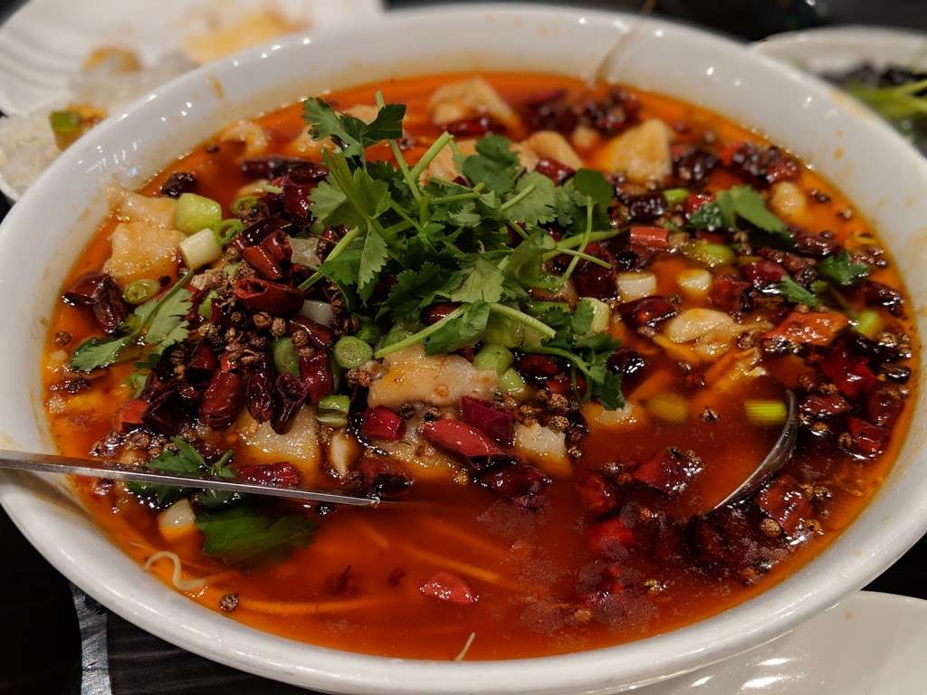 Sze Chuan Cuisine | 2414 S Wentworth Ave, Chicago, IL 60616, USA | Phone: (312) 791-1882