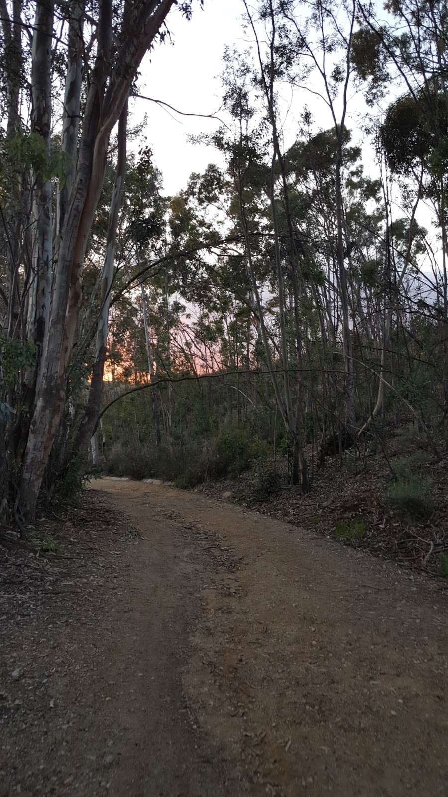 Nora Kuttner Recreational Trail | Castlewood Dr, Fullerton, CA 92833, USA