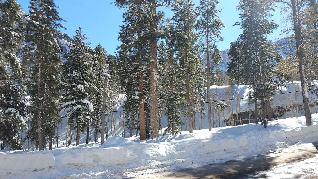 Fletcher View Campgrounds | Mt Charleston, NV 89124, USA | Phone: (702) 872-5577