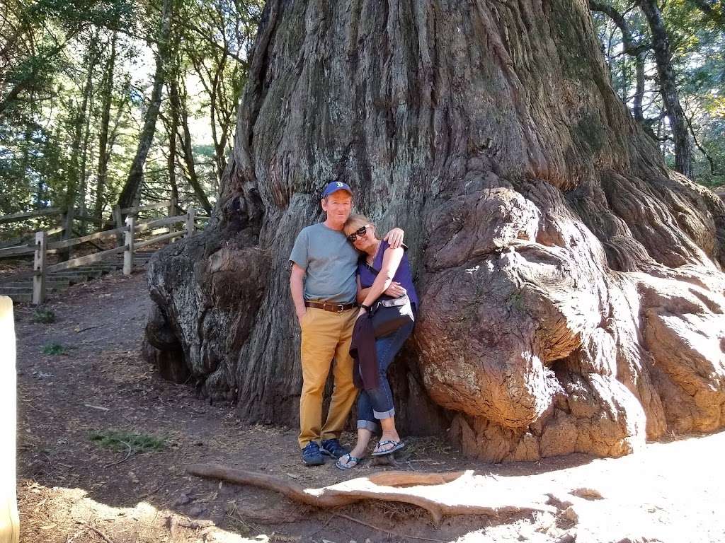 Methuselah Tree | Redwood City, CA 94062