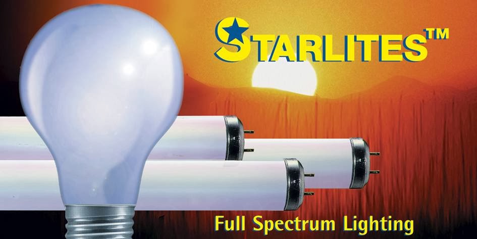 Star Lighting Products | 12875 Corporate Dr Suite A, Parma, OH 44130, USA | Phone: (216) 433-7500