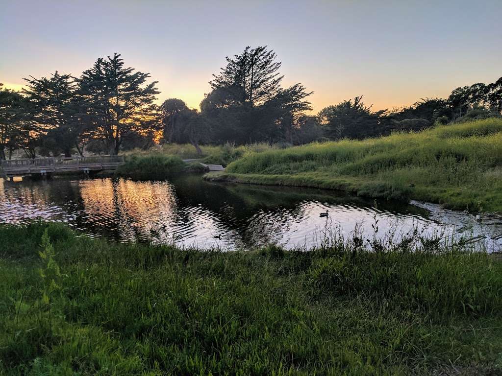 Crab Cove Duck Pond | 1333 8th St, Alameda, CA 94501, USA