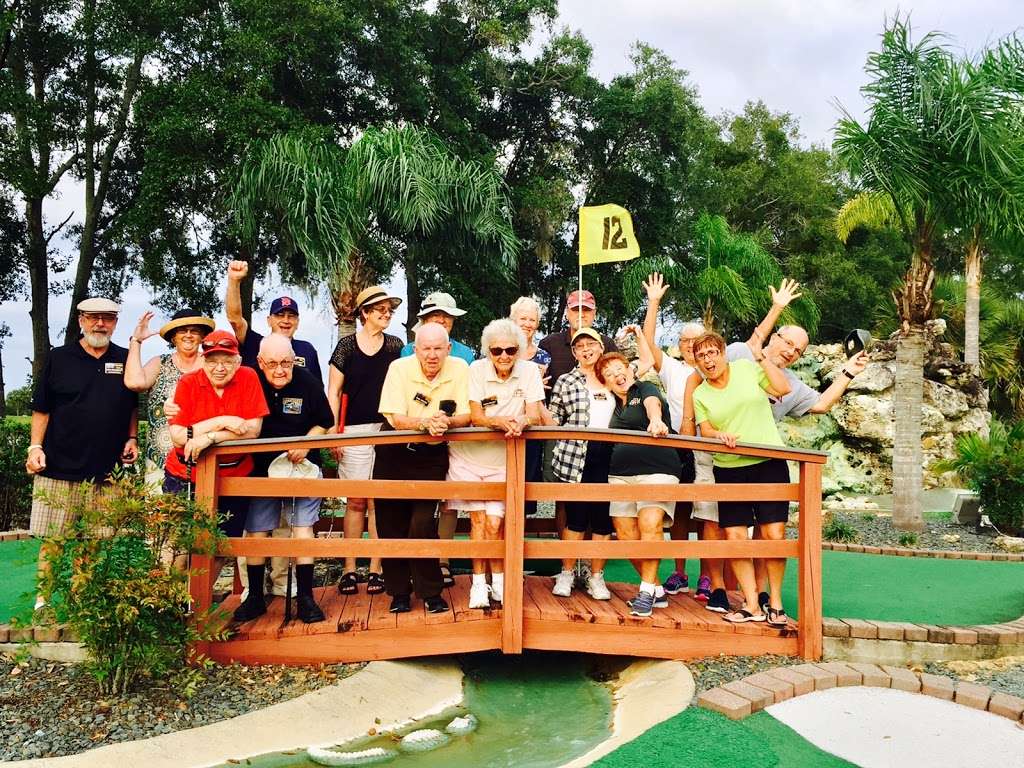 Tree Tops Golf | 698 W Lady Lake Blvd, Lady Lake, FL 32159, USA | Phone: (352) 259-2313