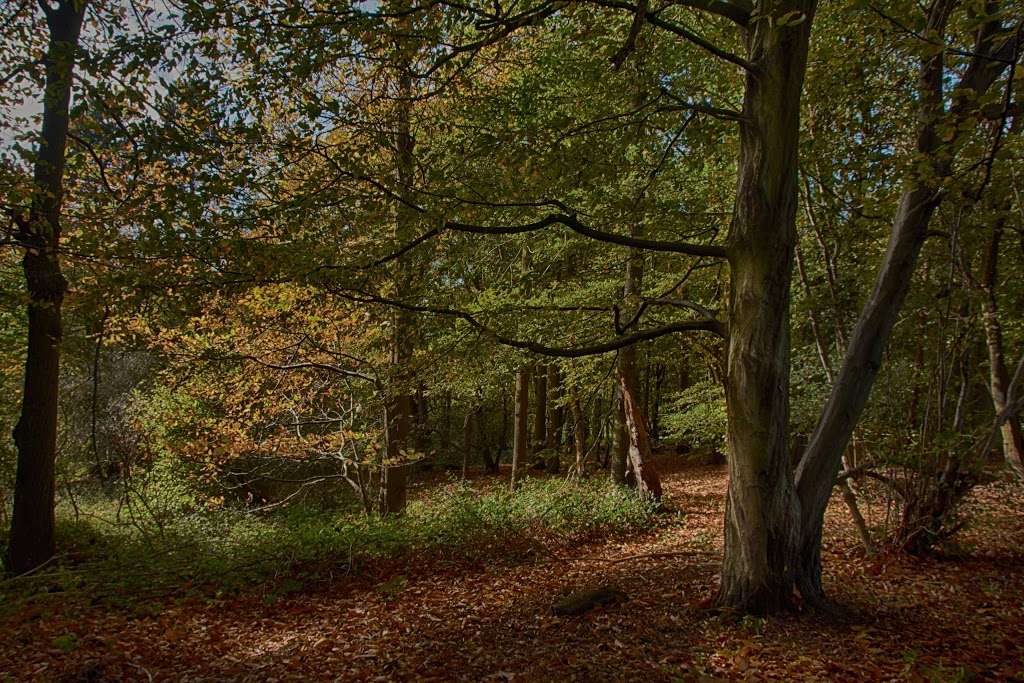 Ayot Greenway car park | Ayot St Peter Rd, Welwyn AL6 9BE, UK