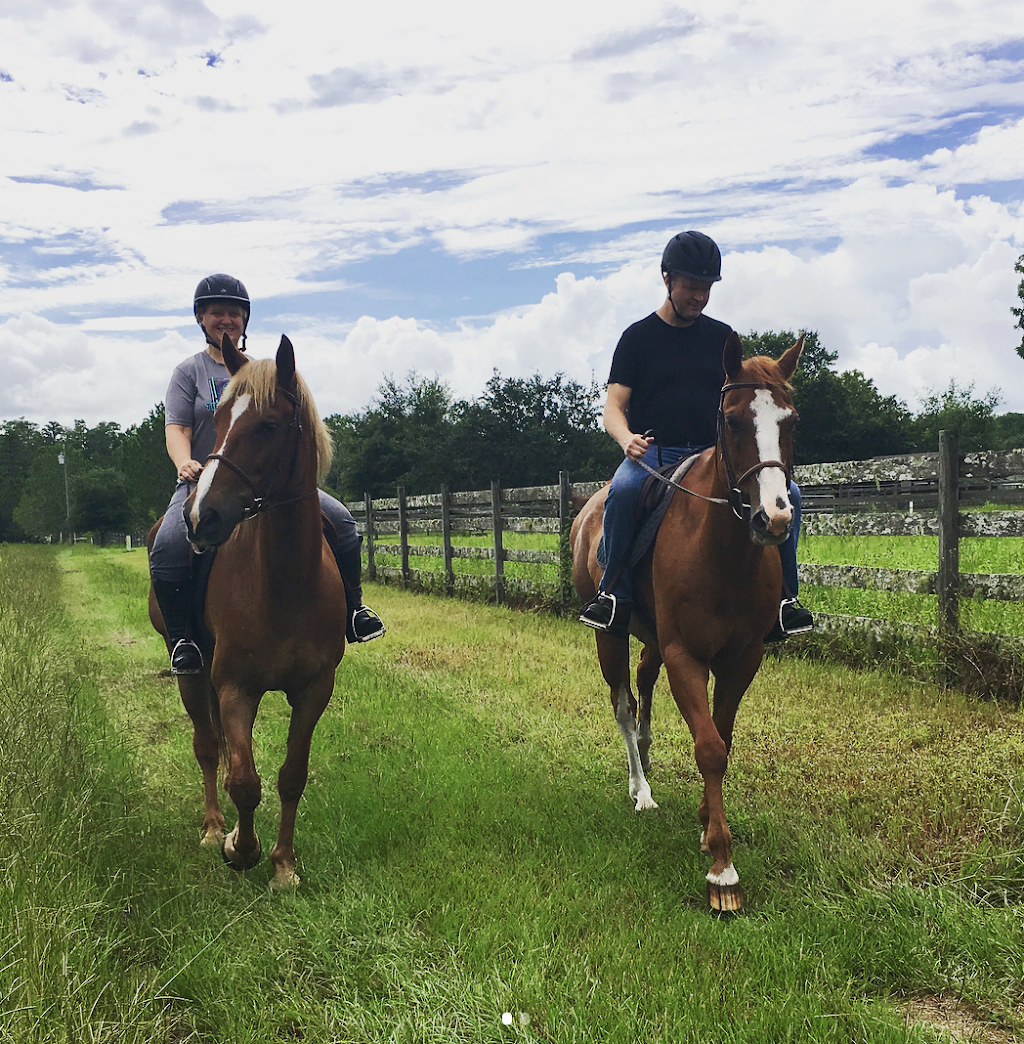 Double S Equestrian | 8420 Colony Barn Rd, Clermont, FL 34714, USA | Phone: (352) 223-5716