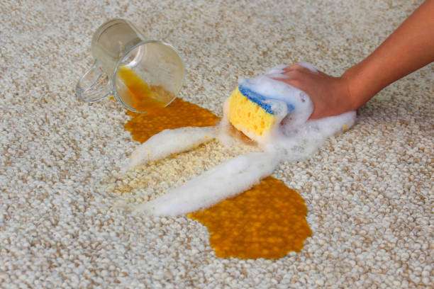 Carpet Cleaner WTN | 10 Alden St, Wallington, NJ 07057 | Phone: (201) 474-2293