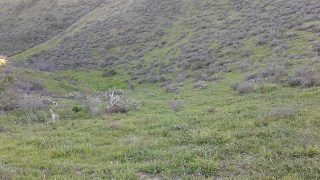 KLMN Properties 1 LLC | 13297 Red Bird Ct, Moorpark, CA 93021, USA | Phone: (805) 552-9451