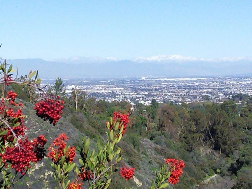 George F Canyon Preserve and Nature Center | 27305 Palos Verdes Dr E, Rolling Hills Estates, CA 90274 | Phone: (310) 547-0862