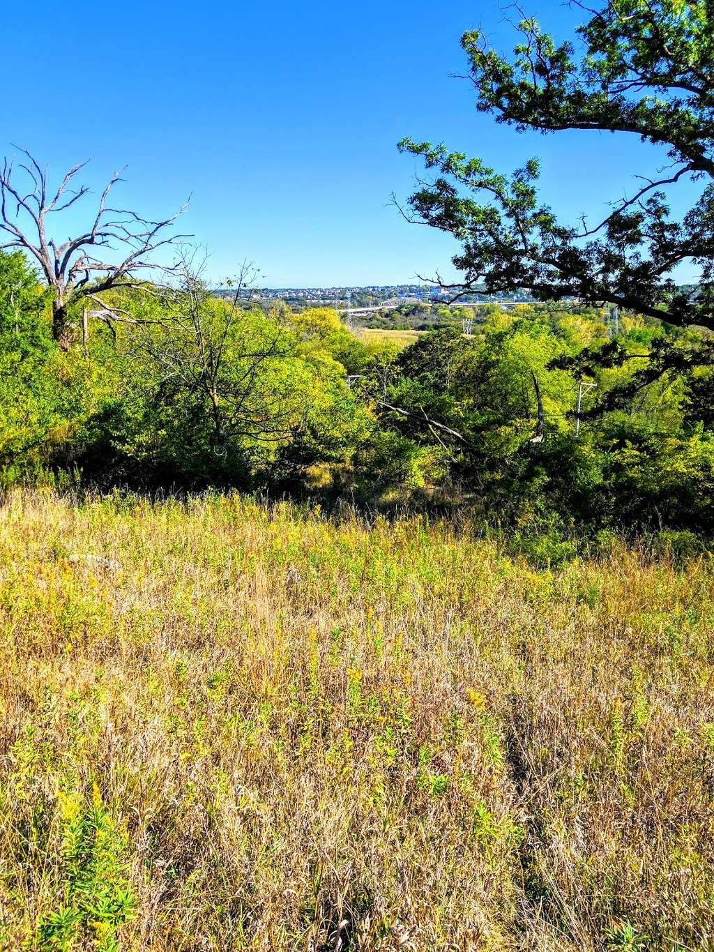 Lemont Woods County Forest Preserve | Woodridge, IL 60517, USA