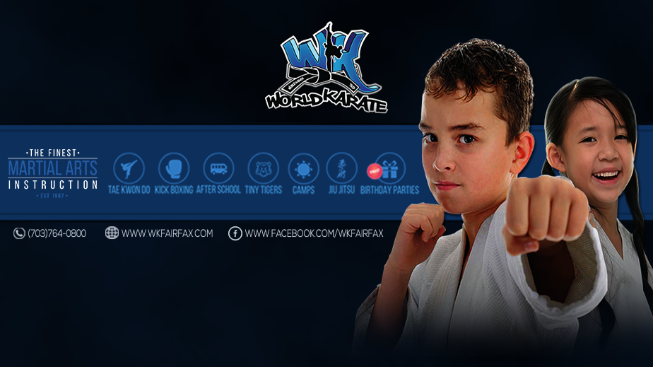 World Karate | 9537 Braddock Rd, Fairfax, VA 22032, USA | Phone: (703) 764-0800