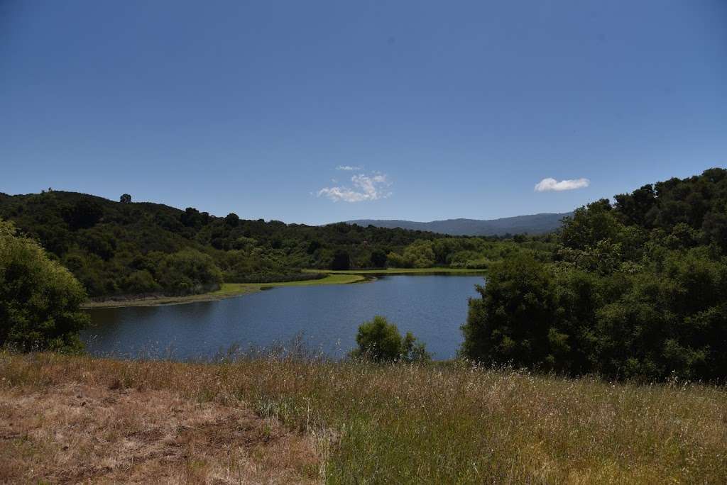 Jasper Ridge Biological Preserve | 4001 Sand Hill Rd, Woodside, CA 94062, USA | Phone: (650) 851-6813