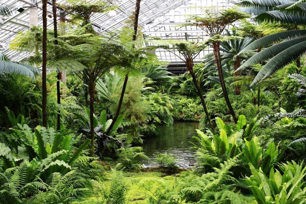 Garfield Park Conservatory Gift Shop | 300 N Central Park Ave, Chicago, IL 60624, USA | Phone: (312) 746-5100