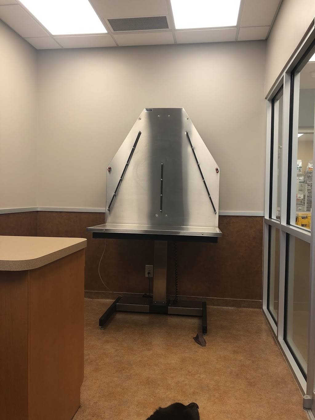 VCA Companion Animal Medical Center | 1455 S Rangeline Rd, Carmel, IN 46032, USA | Phone: (317) 844-0049