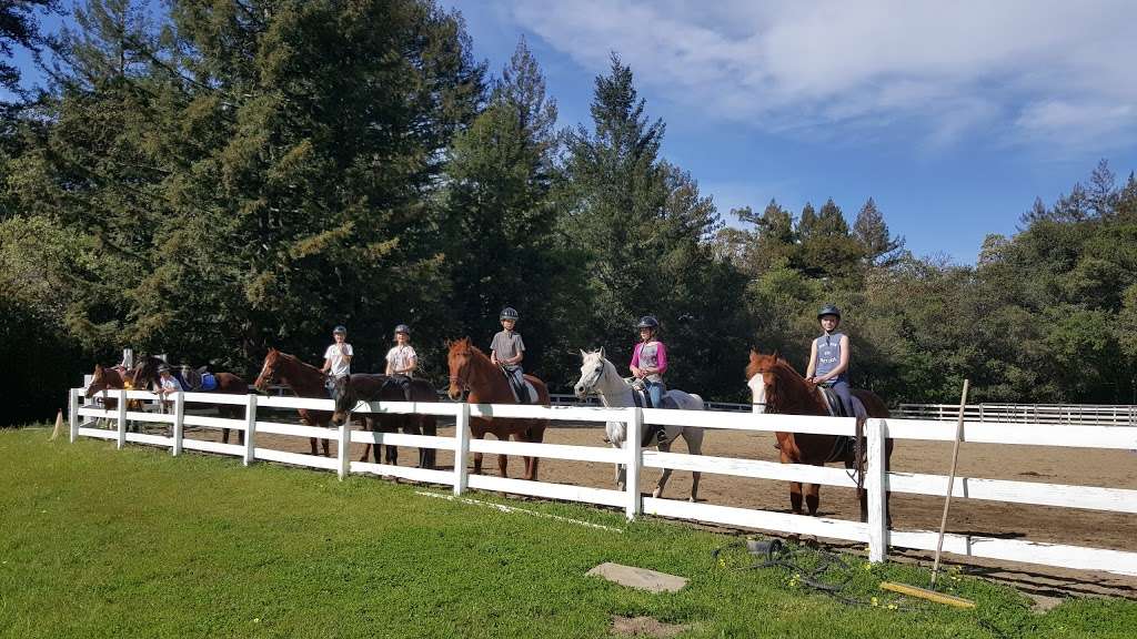 Fox Equine Rescue & Youth Horsemanship Center | 24705 Miller Hill Rd, Los Gatos, CA 95033, USA | Phone: (408) 718-7006