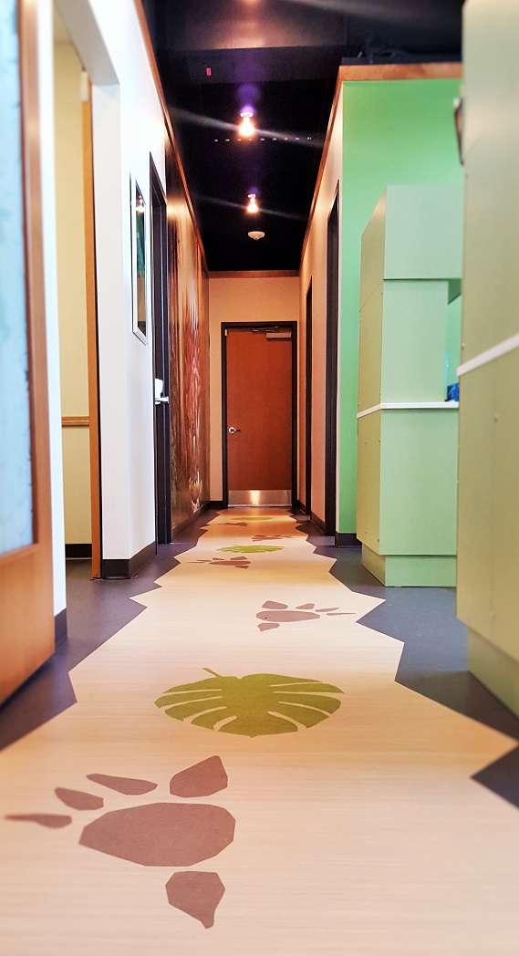 Lil Teeth Dentistry | 3464 N Salida St, Aurora, CO 80011, USA | Phone: (303) 307-9999
