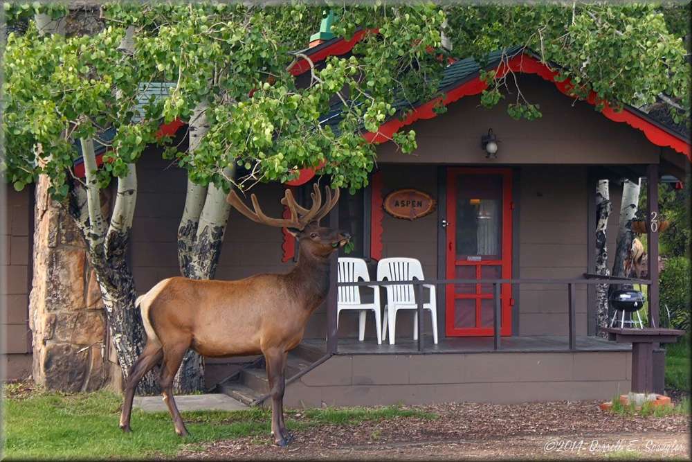 Tiny Town Cabins | 830 Moraine Ave, Estes Park, CO 80517 | Phone: (800) 344-3256