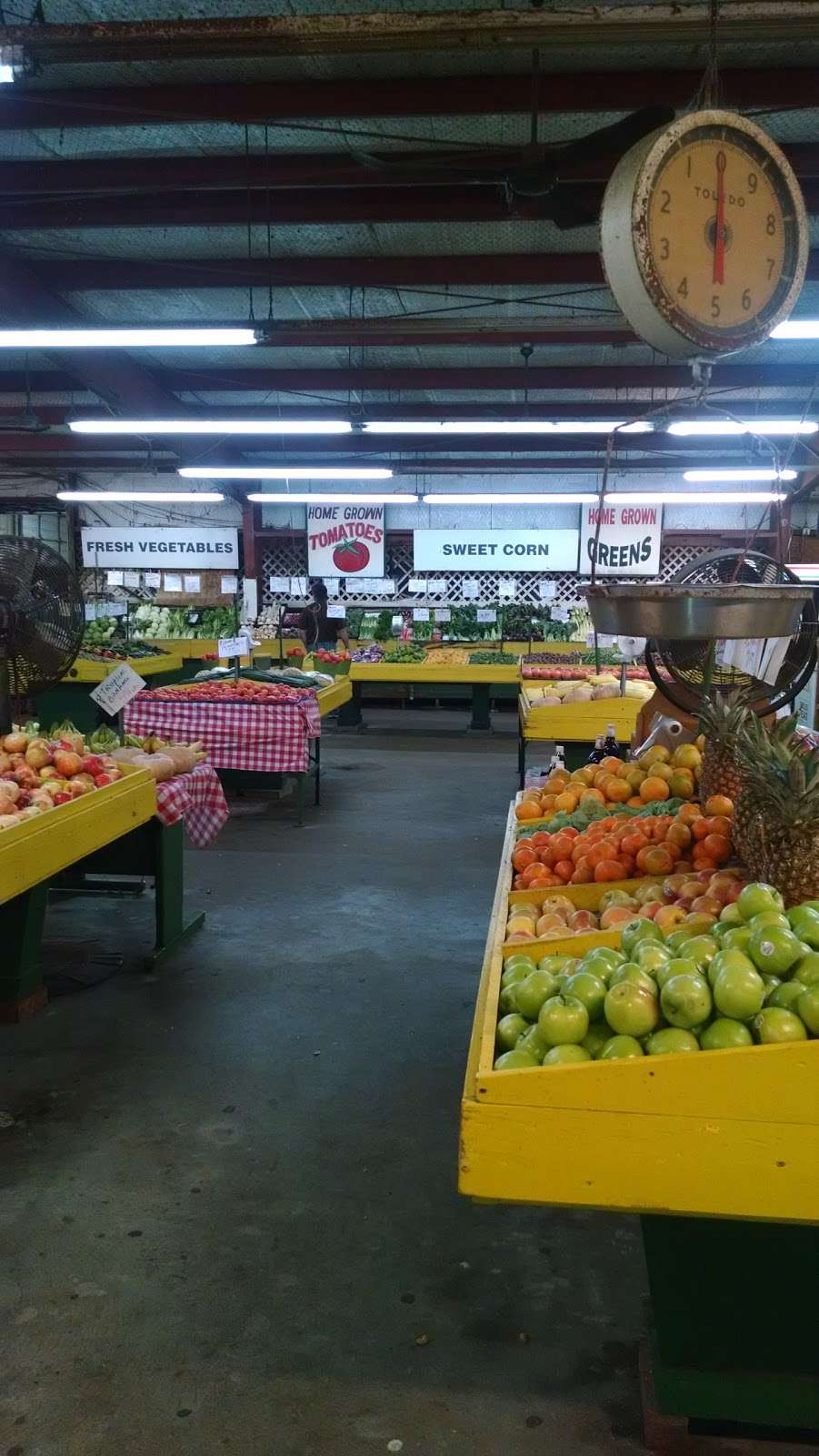 DiIorio Farms & Roadside Market | 750 US-290 BUS, Hempstead, TX 77445 | Phone: (979) 826-2688