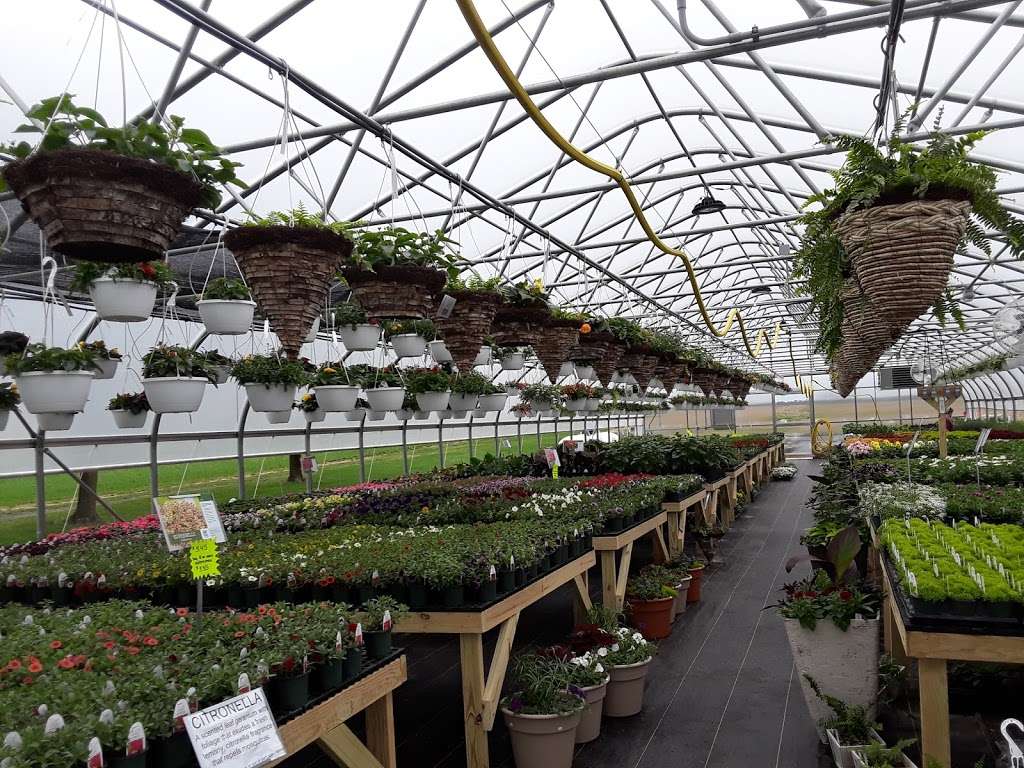 The Country Flower Greenhouse | 712 Shirksville Rd, Jonestown, PA 17038, USA | Phone: (717) 875-7220