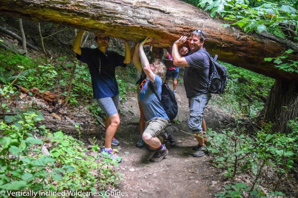 Peanut Leap | Palisades, NY 10964, USA