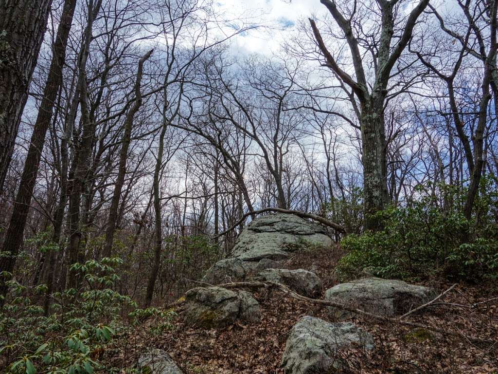 Conklin Mountain | Haverstraw, NY 10970, USA