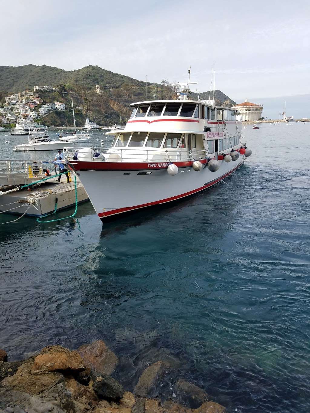 Catalina Ferry and Boat Terminal | Pebbly Beach Rd, Avalon, CA 90704 | Phone: (800) 613-1212