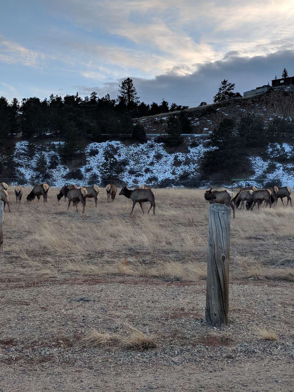 Estes Valley Recreation & Park District | 2132 Big Thompson Ave, Estes Park, CO 80517, USA | Phone: (970) 586-8191