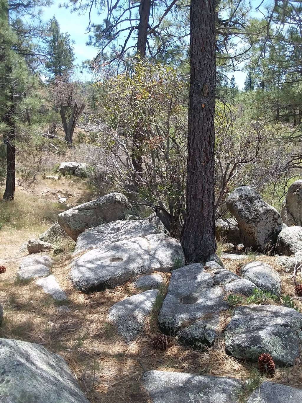 Rock Camp Hike | Metate / Rock Camp Trail 3W15, Lake Arrowhead, CA 92352