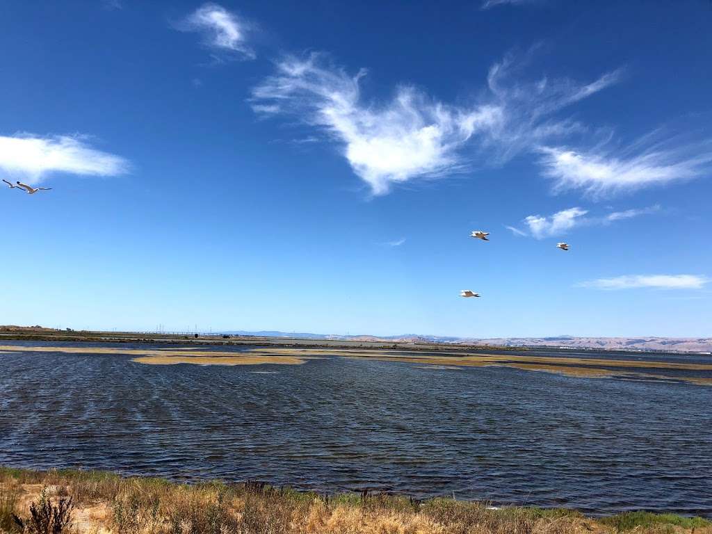 Shoreline Lake parking lot | Unnamed Road, Palo Alto, CA 94303, USA