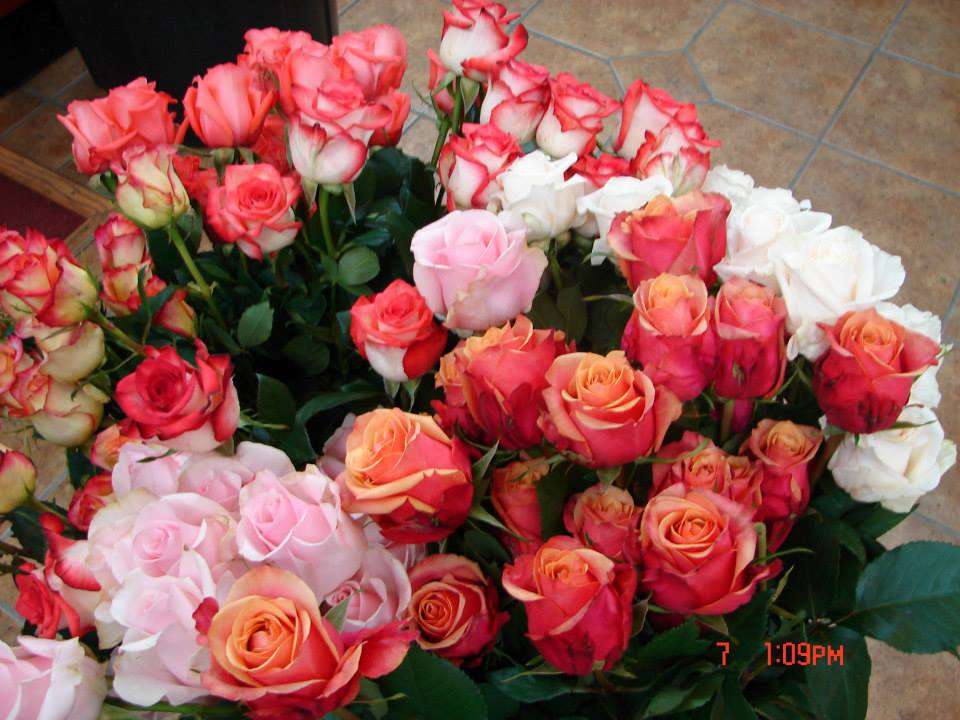 Randolph Florist/Doug The Florist | Turn Pike, 1076 Sussex Turnpike, Randolph, NJ 07869, USA | Phone: (973) 366-2364
