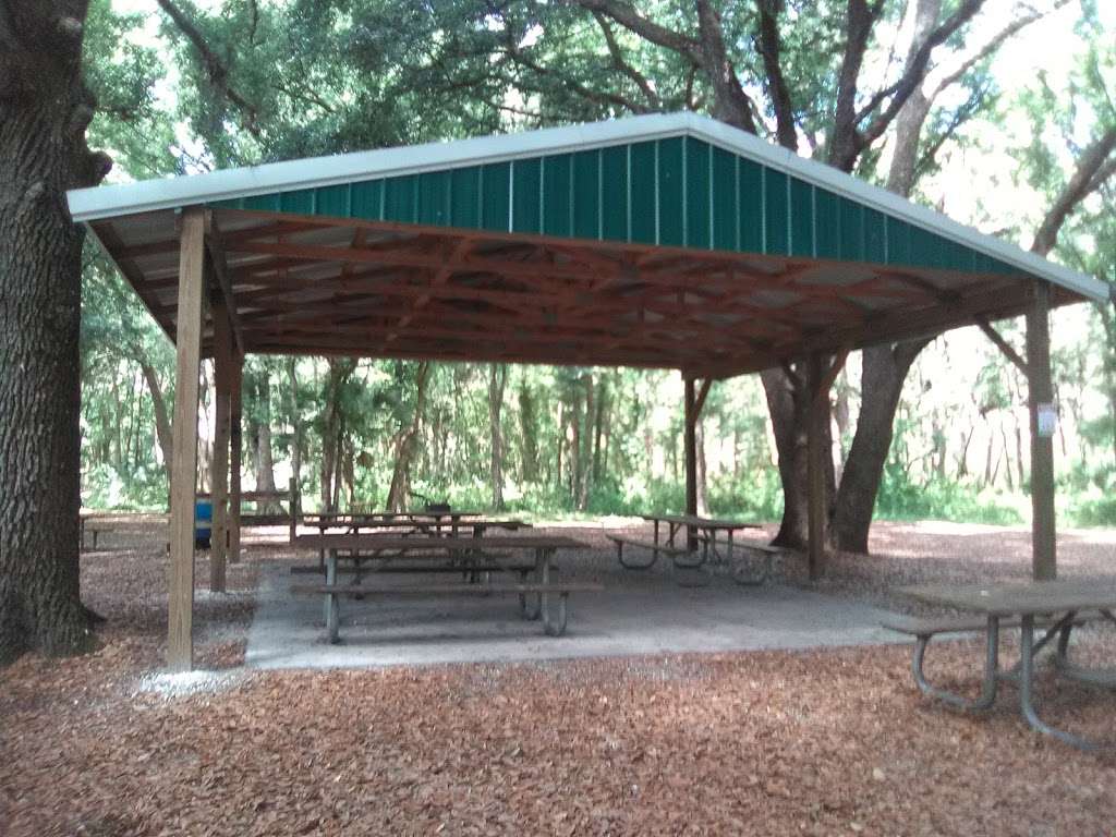 Hampton Tract/Green Swamp Wilderness Preserve | 14440 Rockridge Rd, Polk City, FL 33868 | Phone: (800) 423-1476