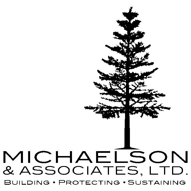 Michaelson & Associates, Ltd. | 2200 Paseo Verde Pkwy Suite 160, Henderson, NV 89052 | Phone: (702) 731-2333