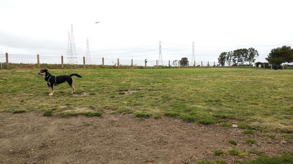 John Lee Dog Park | 2045 Detroit Dr, San Mateo, CA 94404, USA