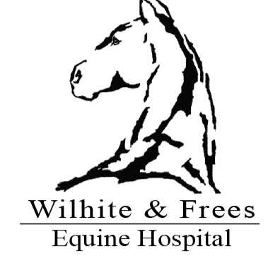 Wilhite & Frees Equine Hospital | 21215 S Peculiar Dr, Peculiar, MO 64078, USA | Phone: (816) 779-0100