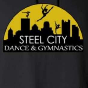 Steel City Dance and Gymnastics LLC | 645 Sands Ct Suite 107, Coatesville, PA 19320 | Phone: (484) 288-8871