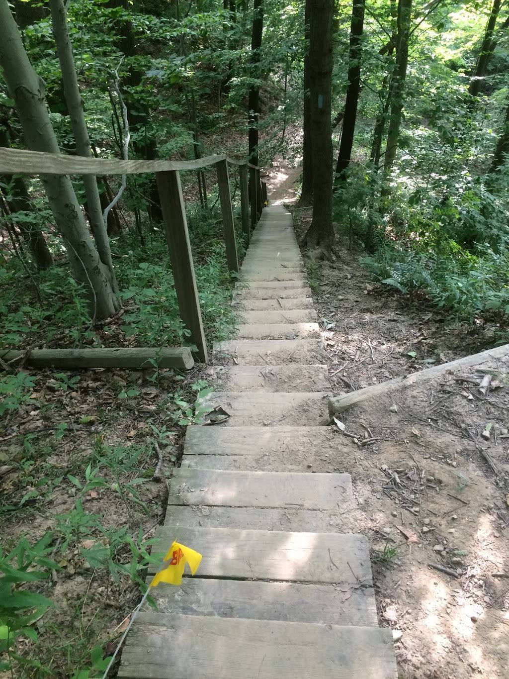 Buckeye Trail | Bridle Trail, Walton Hills, OH 44146, USA | Phone: (330) 657-2752