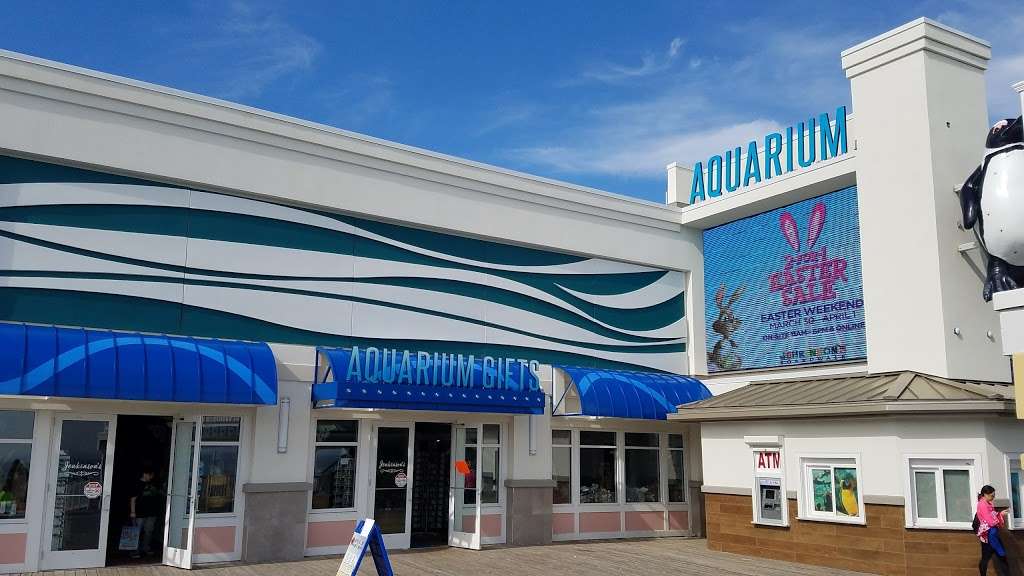 Jenkinsons Aquarium | 300 Ocean Ave, Point Pleasant Beach, NJ 08742, USA | Phone: (732) 899-1212